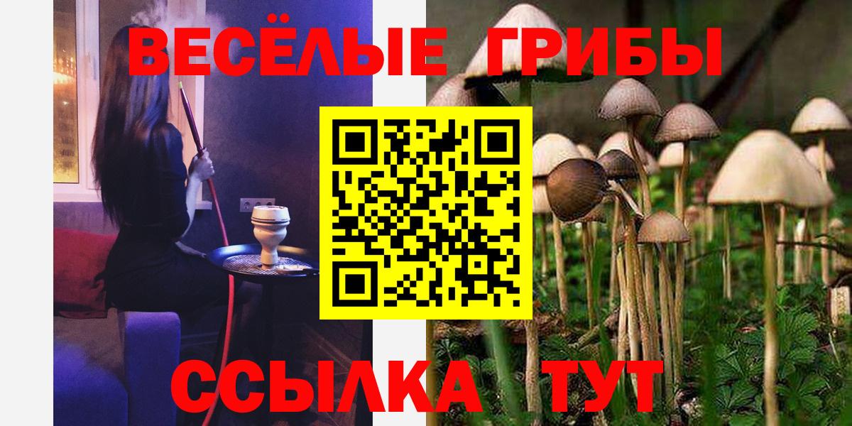 Каменка  Псилоцибиновые грибы мухоморы  Вход с VPN  Галлюциногенные грибы мухоморы 